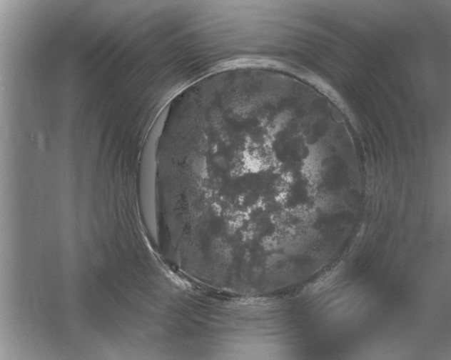 X0000058830953200510071817