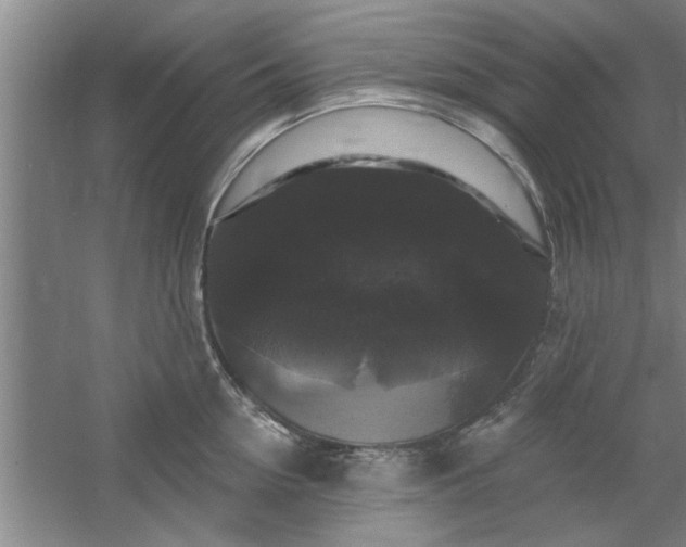 X0000058830954200510071817