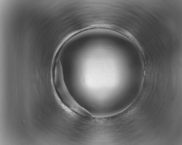 X0000058830955200510071817