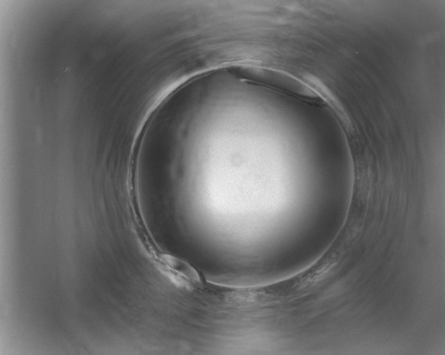 X0000058830956200510071817