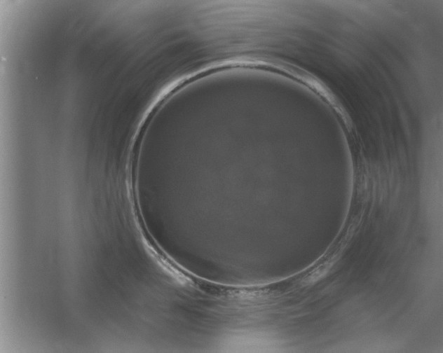 X0000058830958200510071817