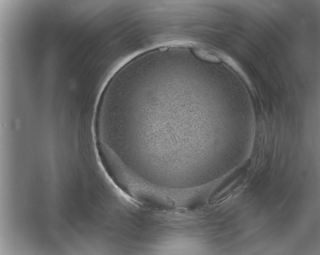 X0000058830959200510071817