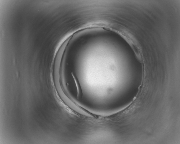 X0000058830960200510071818