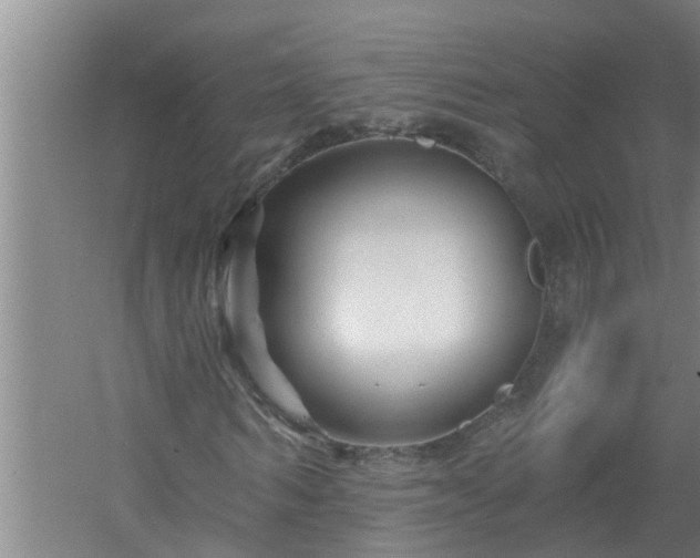 X0000058830962200510071817