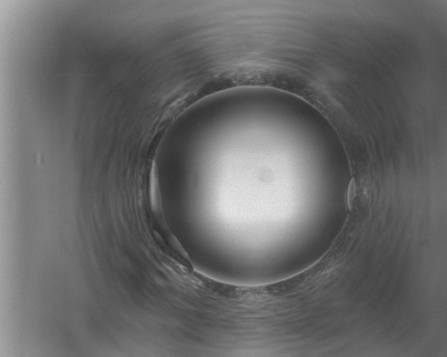 X0000058830964200510071817