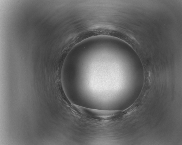 X0000058830965200510071817