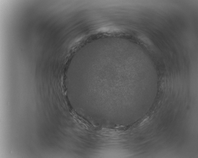 X0000058830966200510071817