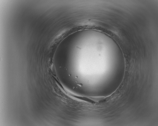 X0000058830967200510071817