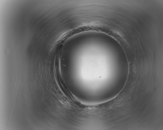 X0000058830968200510071817