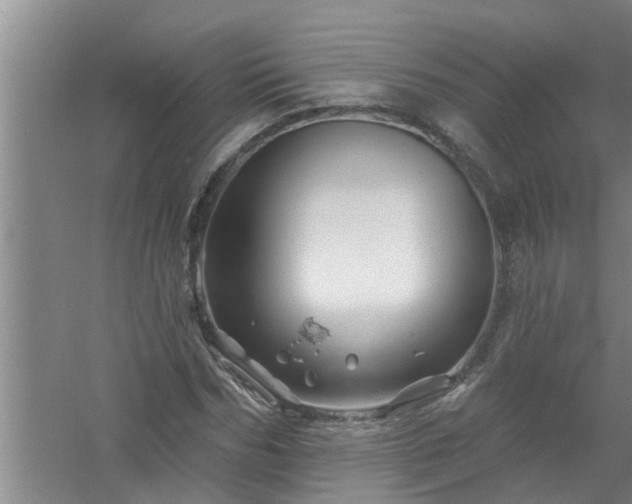 X0000058830970200510071817