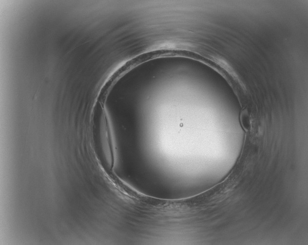 X0000058830972200510071816