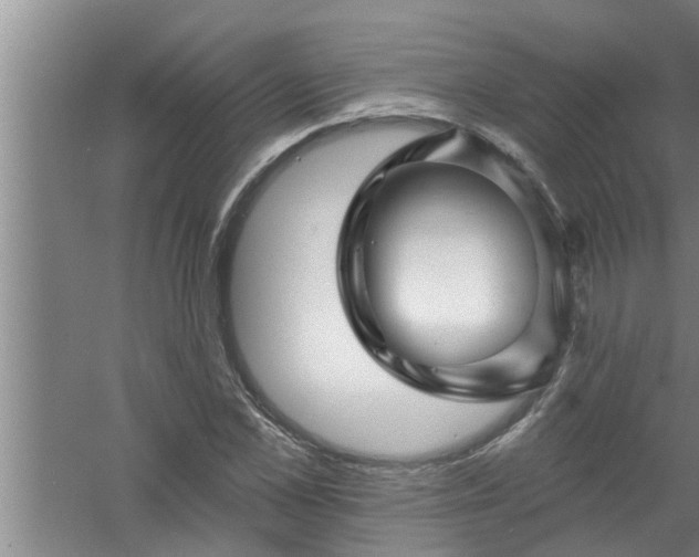 X0000058830973200510071816