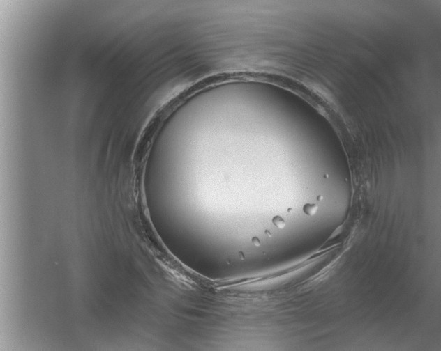 X0000058830974200510071816