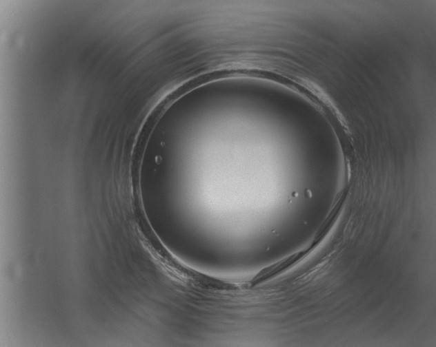 X0000058830980200510071816