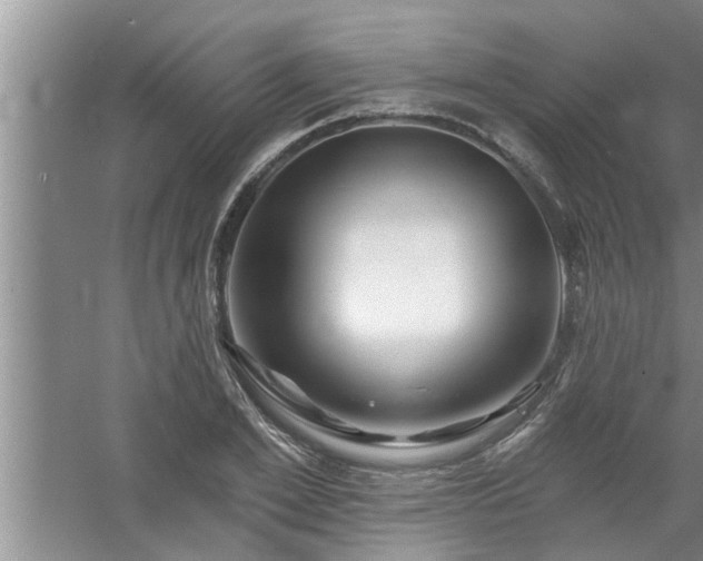 X0000058830981200510071816