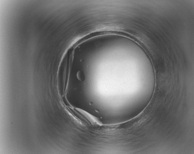 X0000058830982200510071816