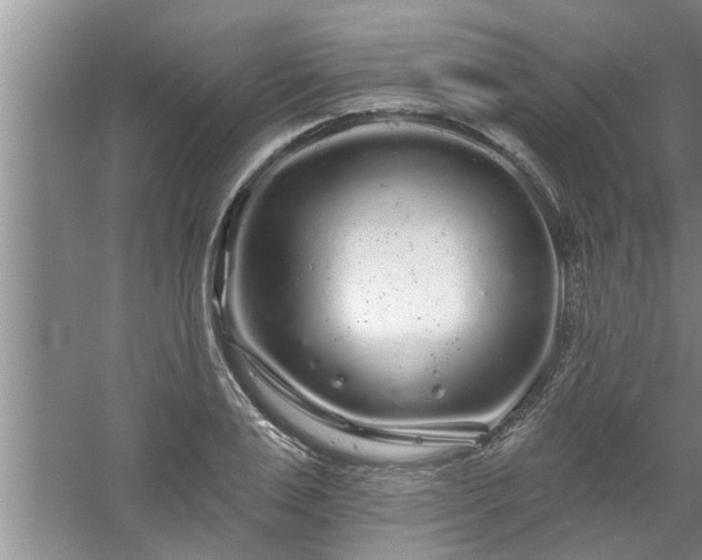 X0000058830983200510071816