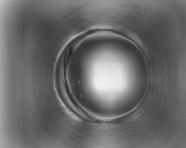 X0000058830984200510071816