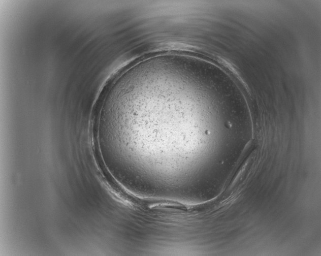 X0000058830987200510071816