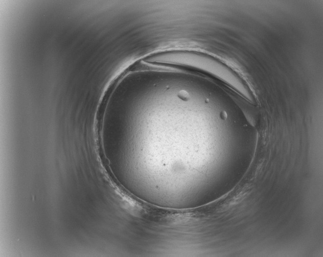 X0000058830990200510071816