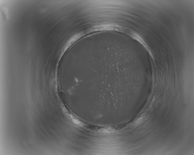 X0000058830994200510071816