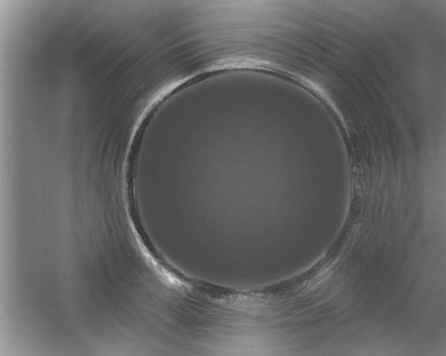 X0000058830995200510071816