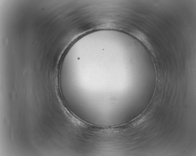 X0000058831000200510071816