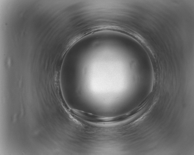 X0000058831001200510071816