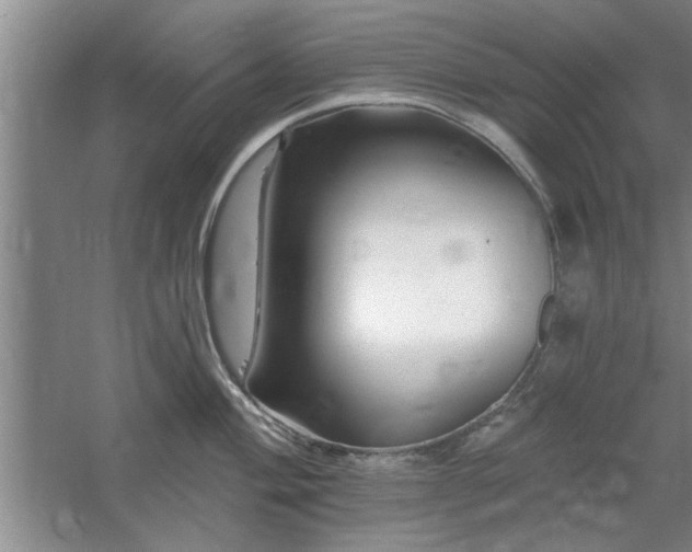 X0000058831004200510071816