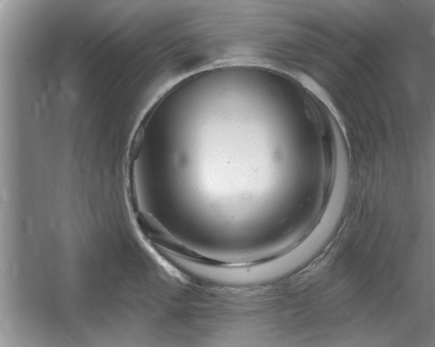 X0000058831005200510071816