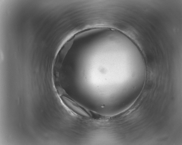 X0000058831006200510071816