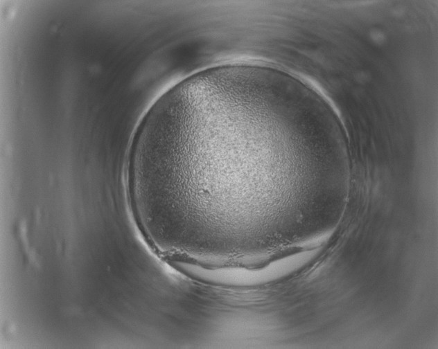 X0000058831007200510071816