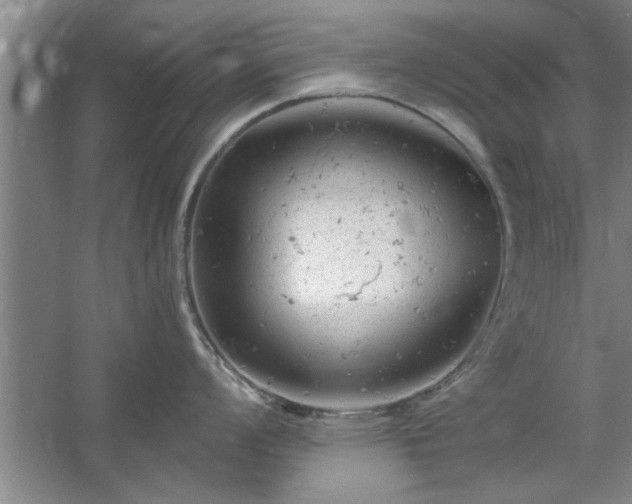 X0000058831008200510071816