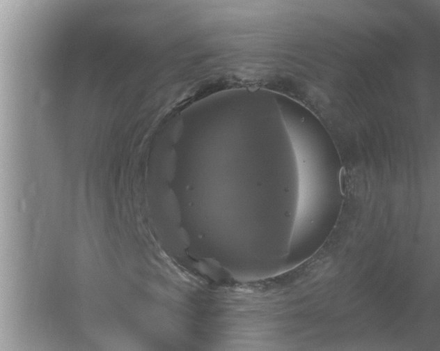 X0000058831009200510071815