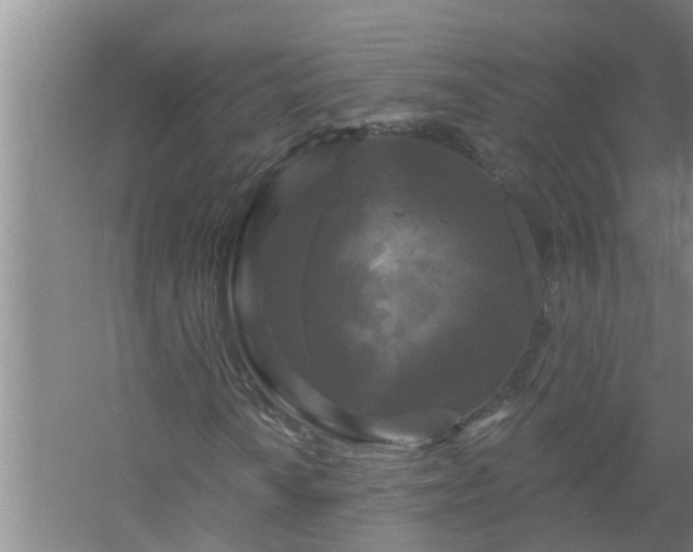 X0000058831010200510071815