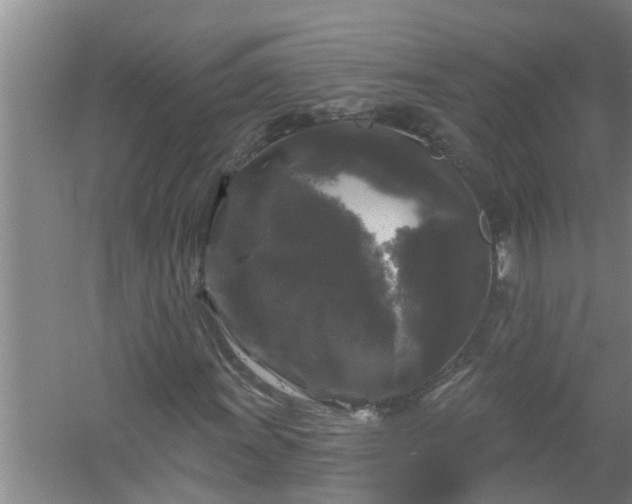 X0000058831011200510071815