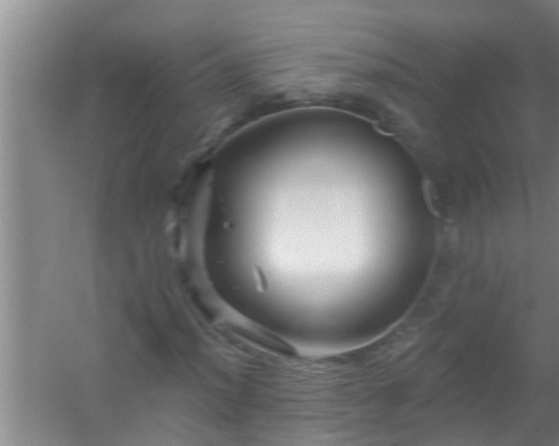 X0000058831012200510071815