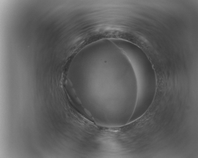 X0000058831013200510071815