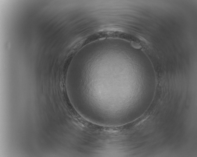 X0000058831014200510071815