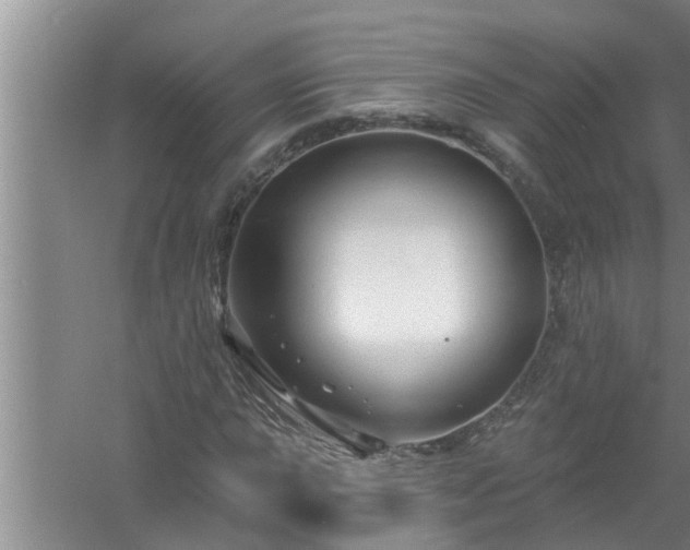 X0000058831015200510071815