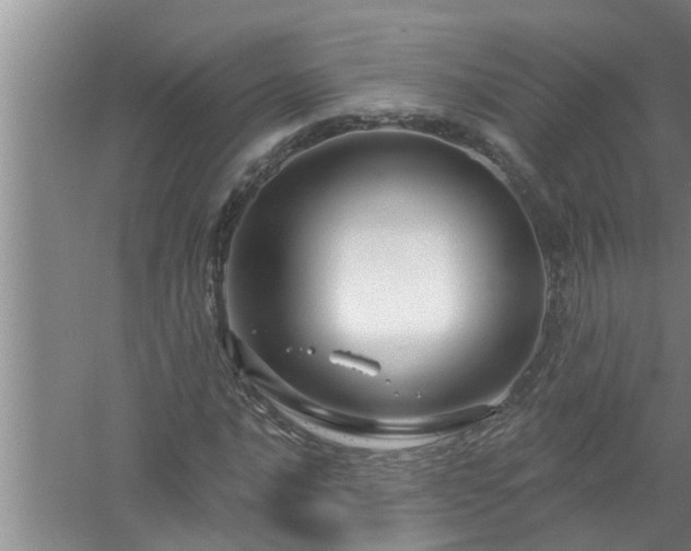 X0000058831016200510071815