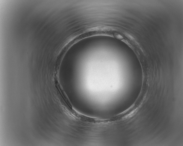 X0000058831017200510071815