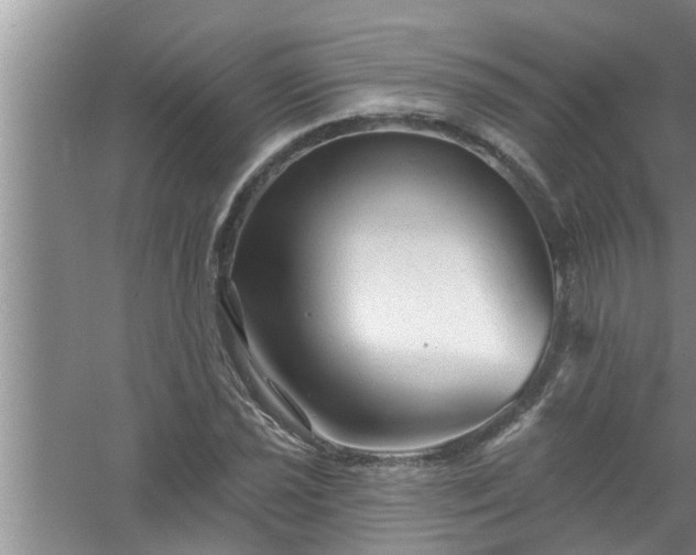 X0000058831021200510071815