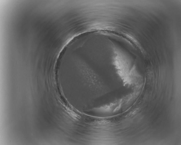 X0000058831023200510071815