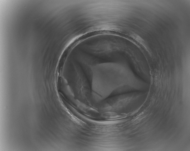 X0000058831024200510071815