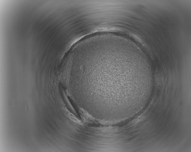 X0000058831025200510071815