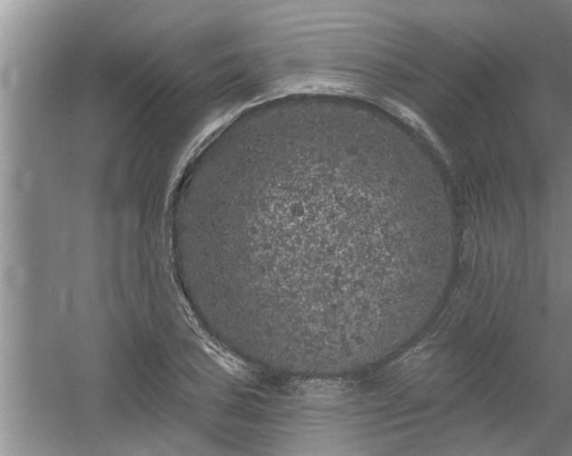 X0000058831027200510071815