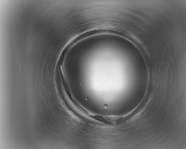 X0000058831029200510071815