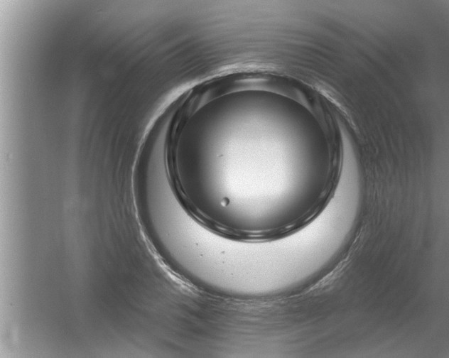 X0000058831030200510071815