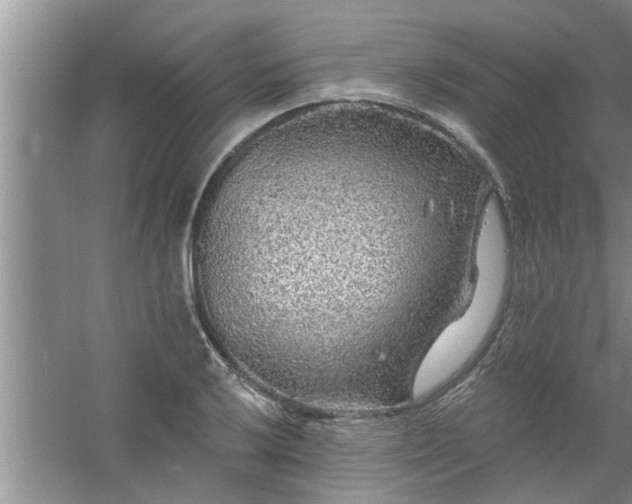 X0000058831032200510071815